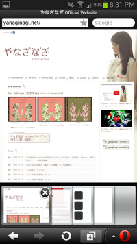 Screenshot_2013-07-25-20-31-39