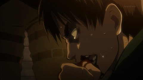 進撃の巨人24-29