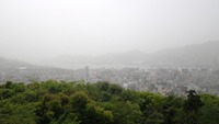 IMGP0530