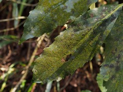 P3280370