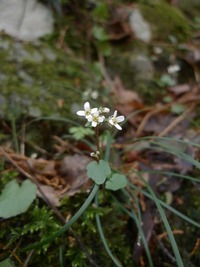 P1290106