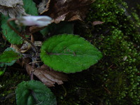 DSC00622