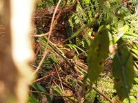P3280390