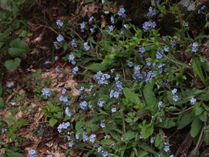 P4060417