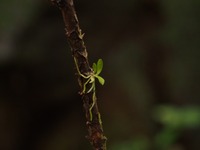 P3280378