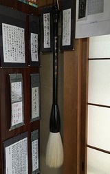 a 492