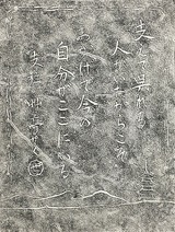 a 537