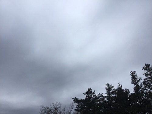 2019-01-12 08.25.53