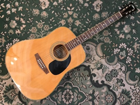 shinano sw-20アコースティックギター - メルカリ