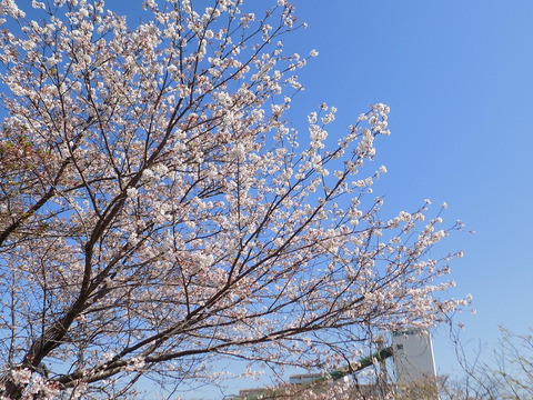 DSCN4809