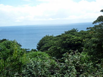 P1060973