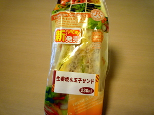 P1070405