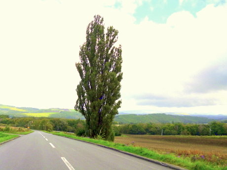 P1000392