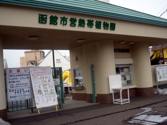 P1040638