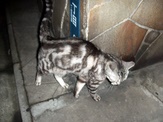 blog20 052