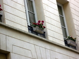 PAR 294