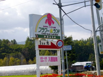 P1000419-001