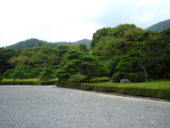 P1020867