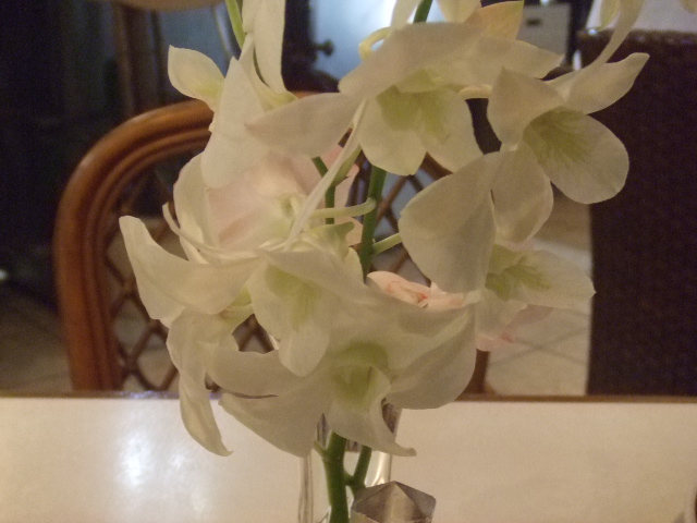 オオタニ花