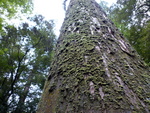 P1020870