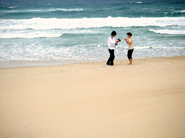 ¤É¡¼¤·¤è¡¼¤«¡©