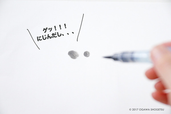 水筆ペン_9395