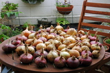 00691f07.jpg