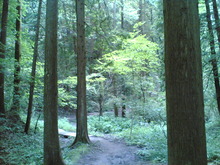 寺家ふるさと村