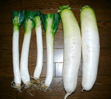 63abf368.jpg