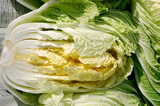 白菜2つわり