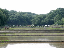 寺家