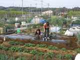 befc6147.jpg
