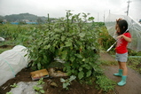 eb2ed620.jpg