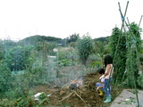 f7a1cb75.jpg