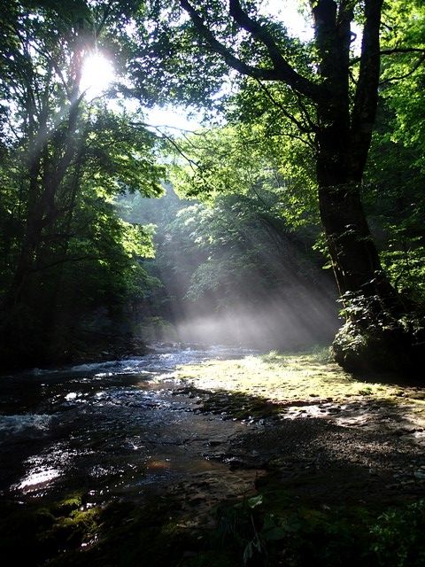 P7150219