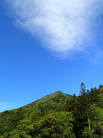 P5069250