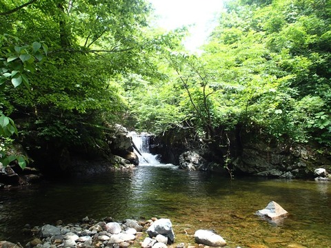 P6239376