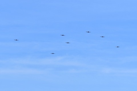 DSC_1041