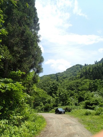 P6249386