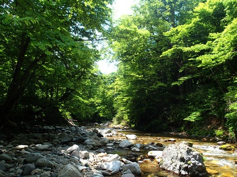 P6249385