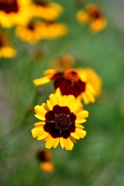 DSC_5278