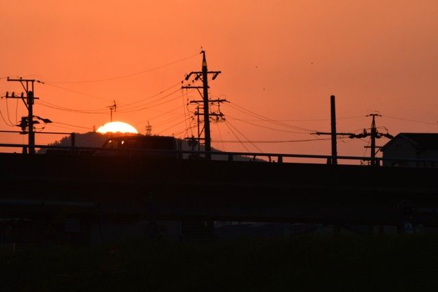 DSC_5713