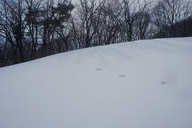 DSC00522