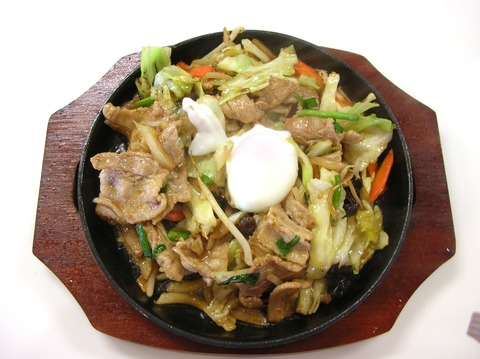 17 単品肉野菜500