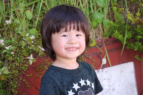 shoma