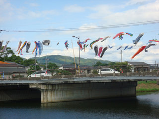 koinobori