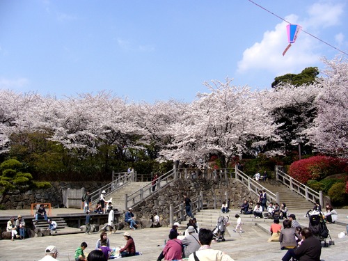 2017040704