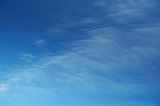 11011908