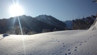 12012804