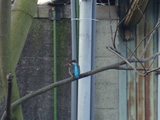 0949a42e.jpg